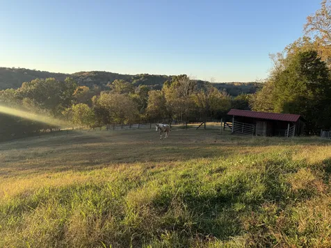 4118 Leipers Creek Road Williamsport TN 38487