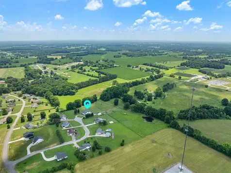 41 Harding Road Leoma TN 38468