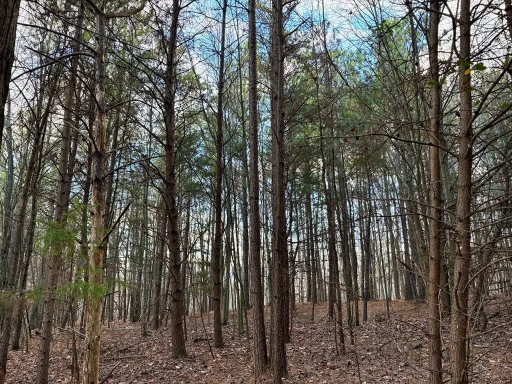 0 Topside Drive Spencer TN 38585