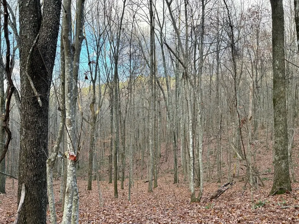 0 Topside Drive Spencer TN 38585