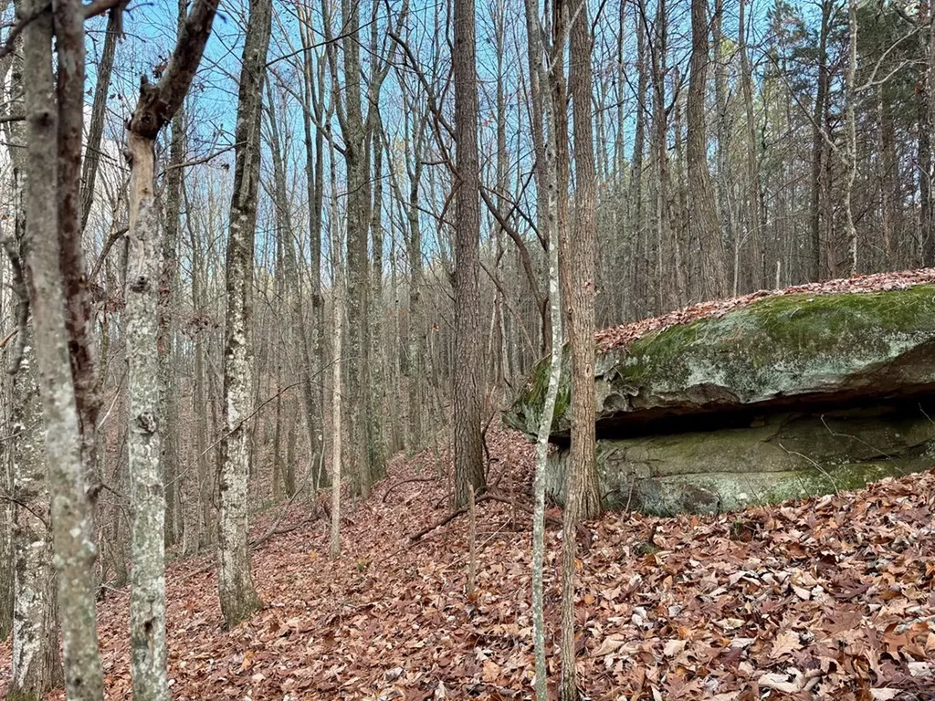 0 Topside Drive Spencer TN 38585