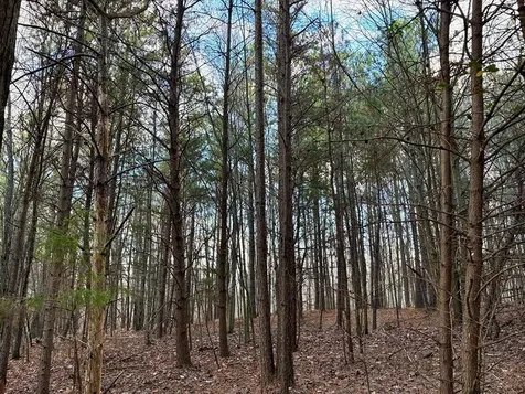 0 Topside Drive Spencer TN 38585
