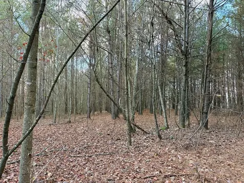 0 Topside Drive Spencer TN 38585