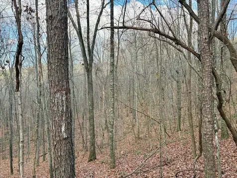 0 Topside Drive Spencer TN 38585