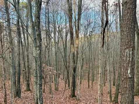 0 Topside Drive Spencer TN 38585
