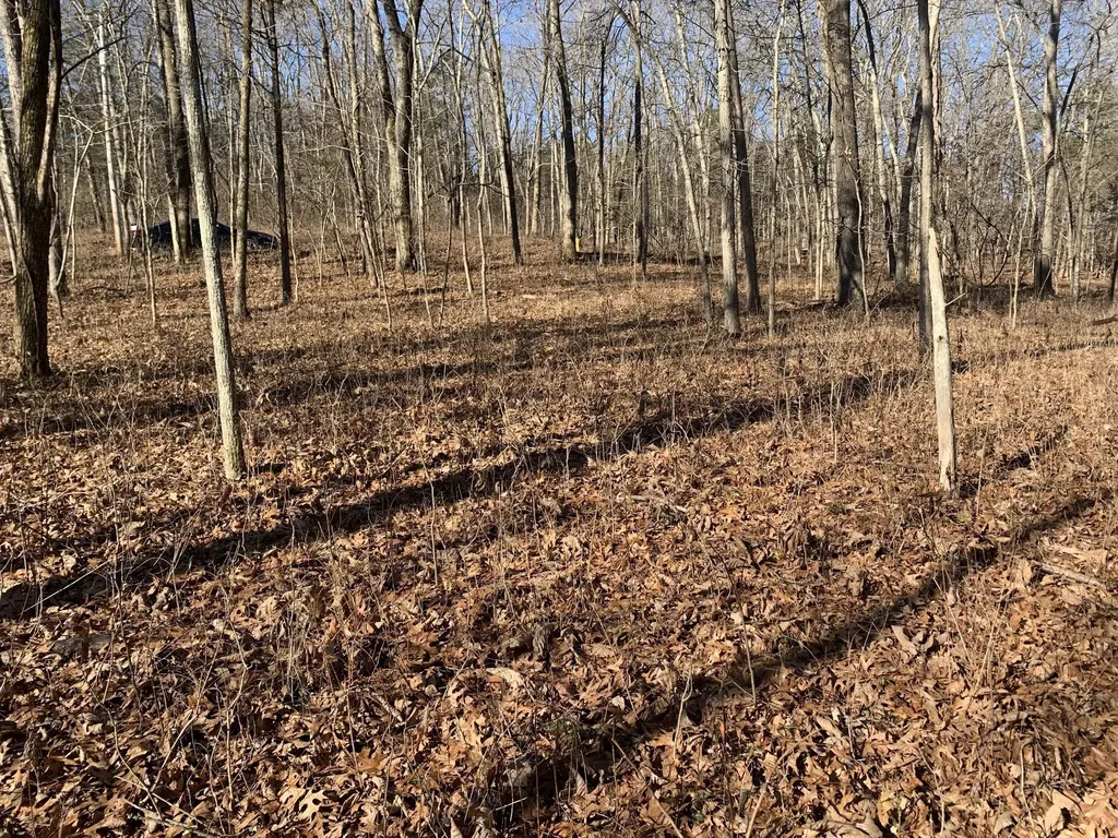 0 Pond Drive Gallatin TN 37066