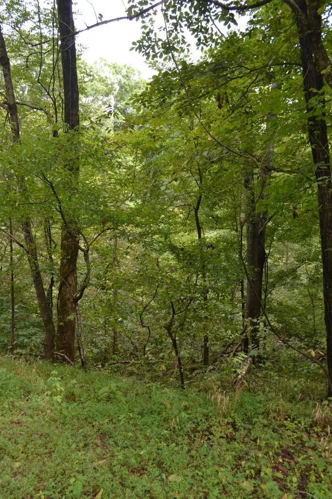 0 Pond Drive Gallatin TN 37066