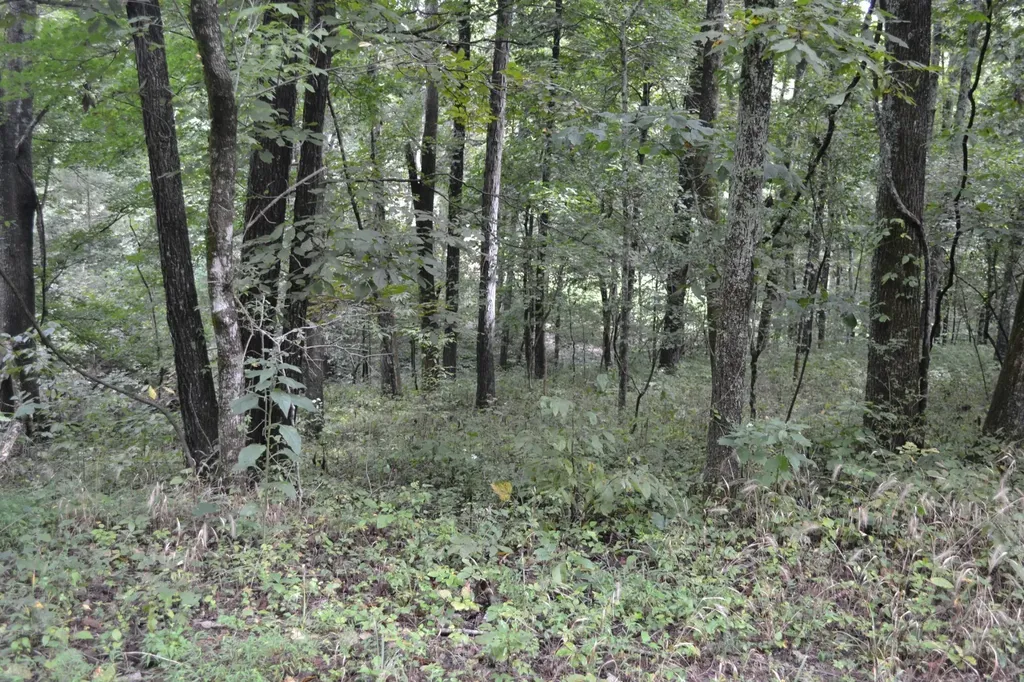 0 Pond Drive Gallatin TN 37066