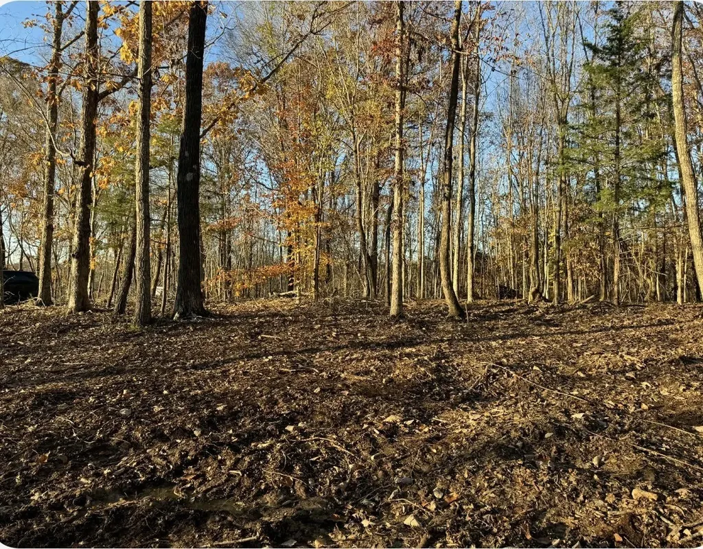 260 Lineport Road Bumpus Mills TN 37028