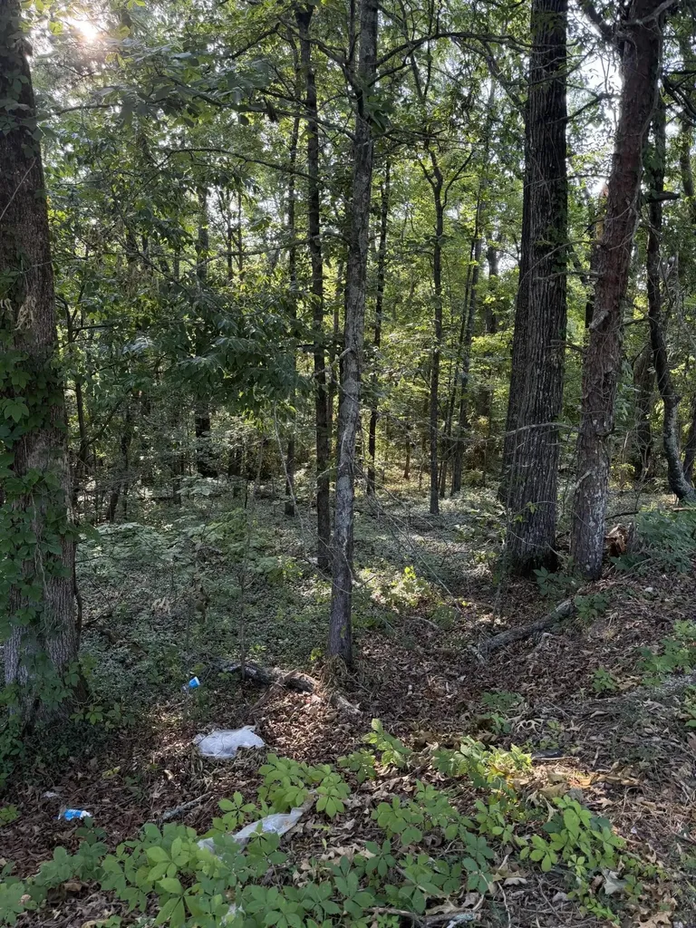 0 Birchwood Pike Harrison TN 37341