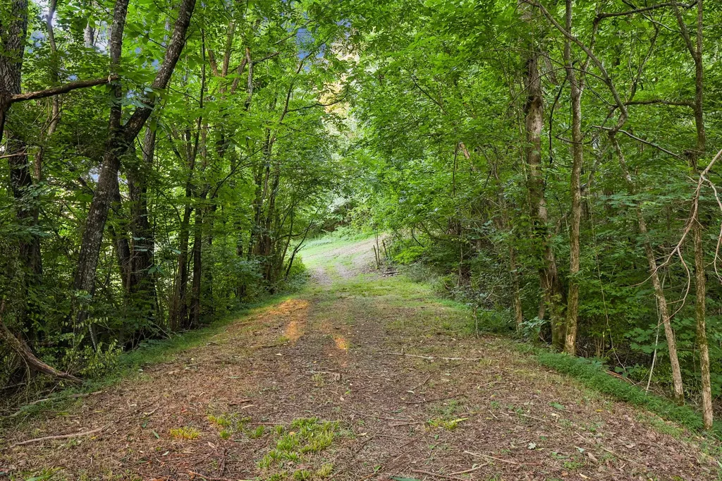 1911 Evergreen Road Thompsons Station TN 37179