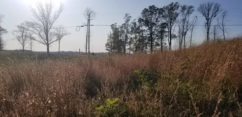 1 Swan Ridge Road Hilham TN 38568