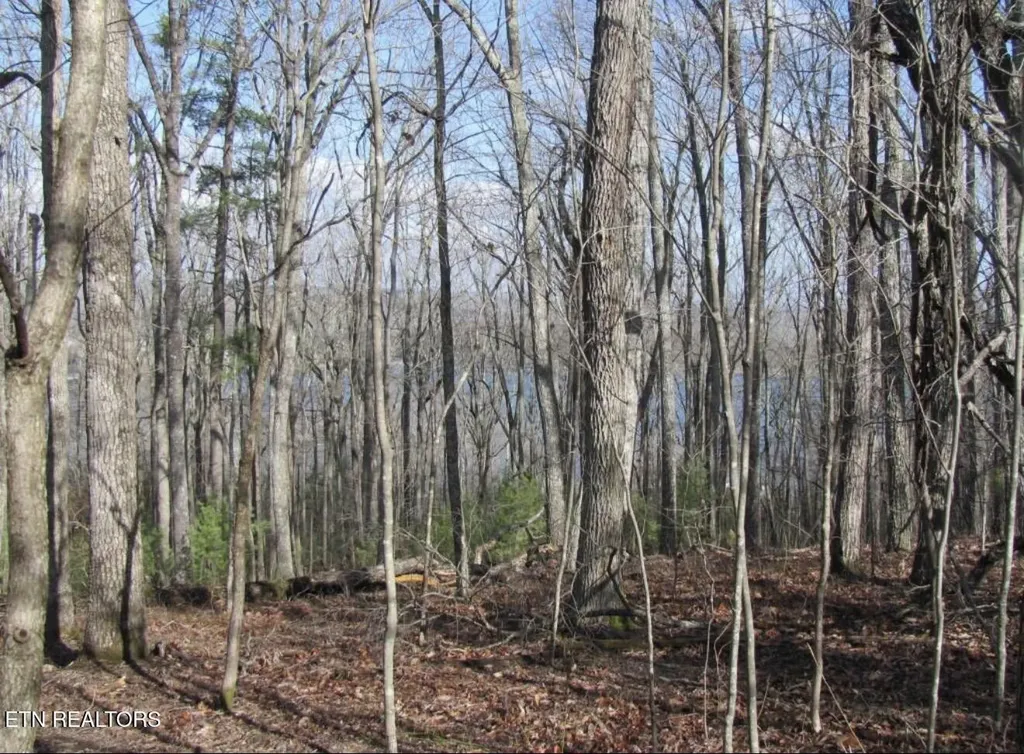 0 Markham Lane Crossville TN 38558