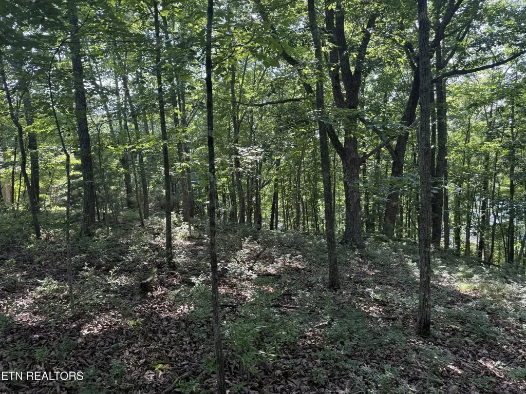 0 Markham Lane Crossville TN 38558