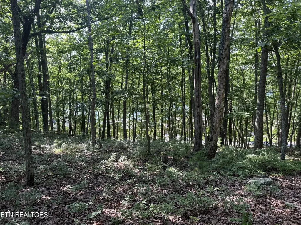 0 Markham Lane Crossville TN 38558