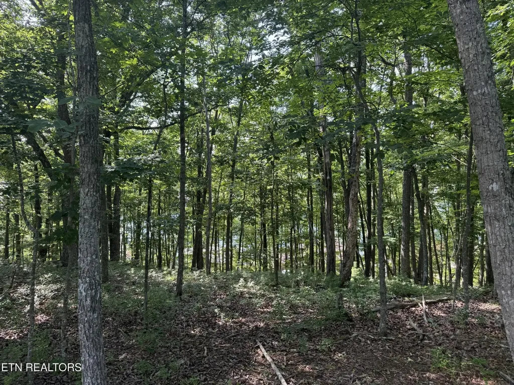 0 Markham Lane Crossville TN 38558