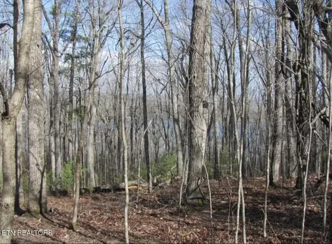 0 Markham Lane Crossville TN 38558