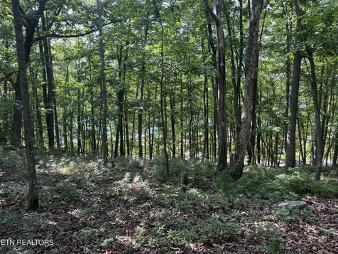 0 Markham Lane Crossville TN 38558