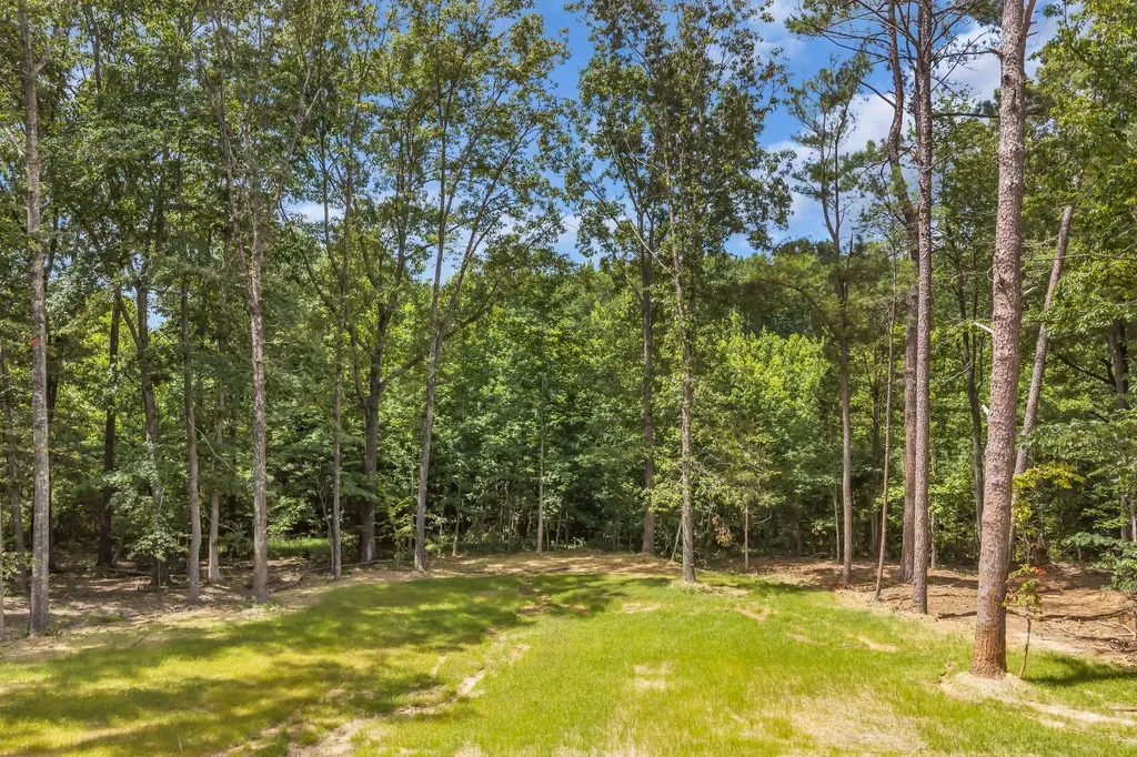 1167 Harmon Springs Road Dickson TN 37055