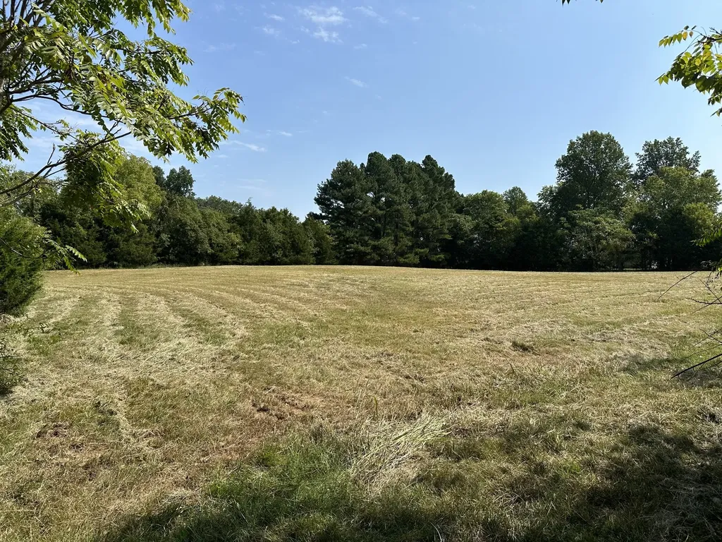 1238 Mires Road Mount Juliet TN 37122
