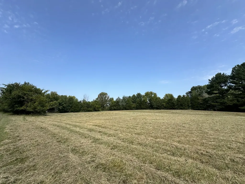 1238 Mires Road Mount Juliet TN 37122