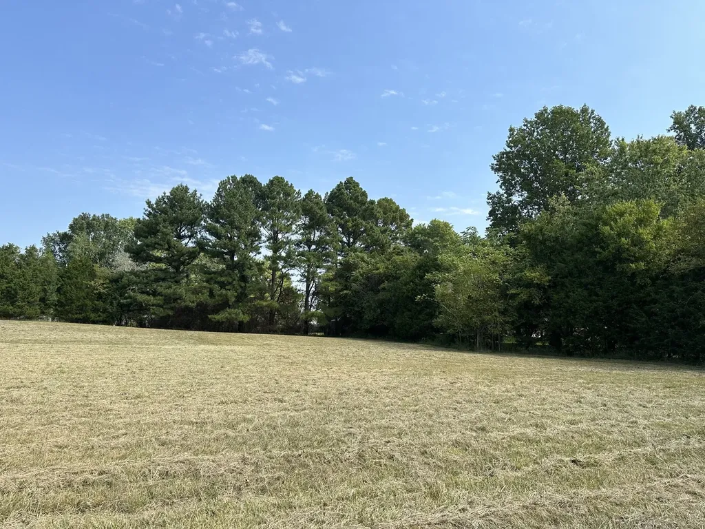 1238 Mires Road Mount Juliet TN 37122