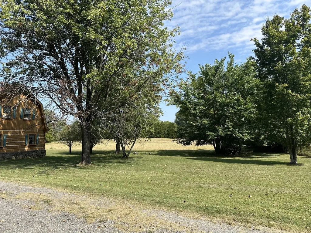 1238 Mires Road Mount Juliet TN 37122