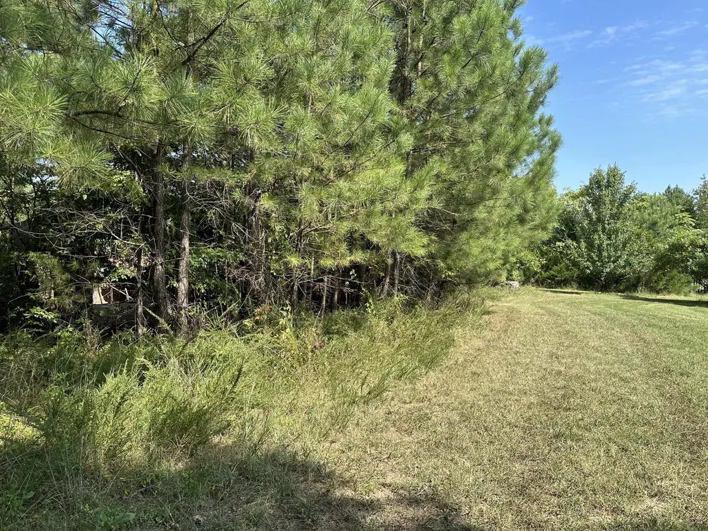 1238 Mires Road Mount Juliet TN 37122