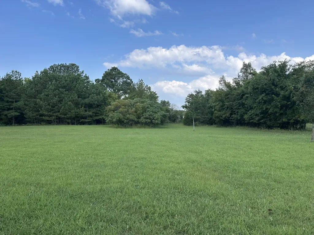 1238 Mires Road Mount Juliet TN 37122