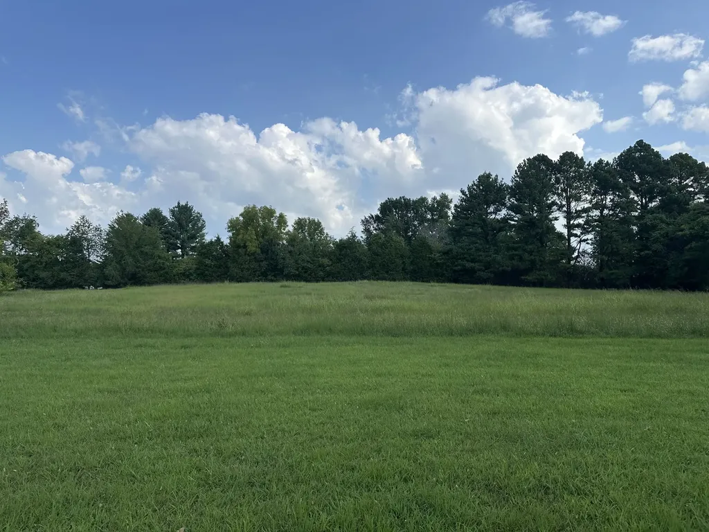 1238 Mires Road Mount Juliet TN 37122