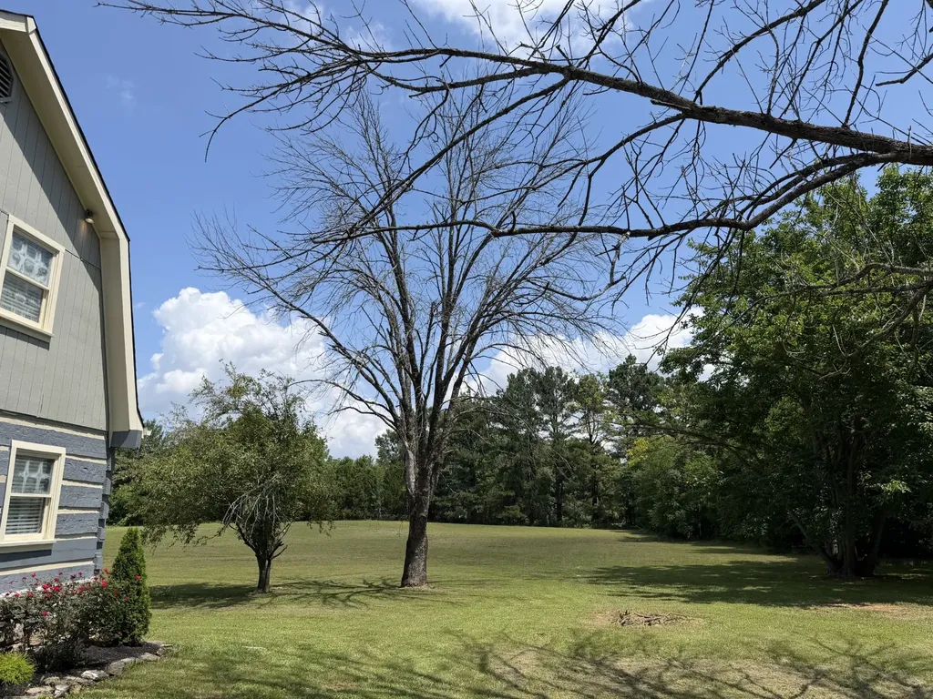 1238 Mires Road Mount Juliet TN 37122