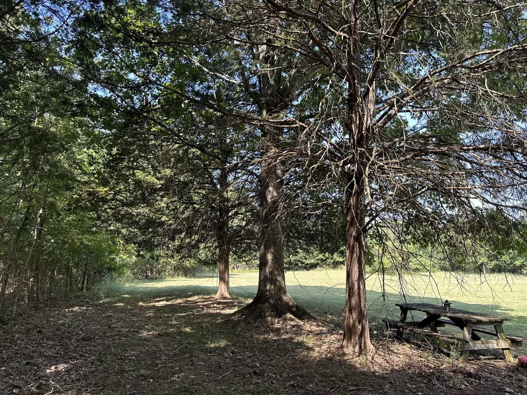 1238 Mires Road Mount Juliet TN 37122