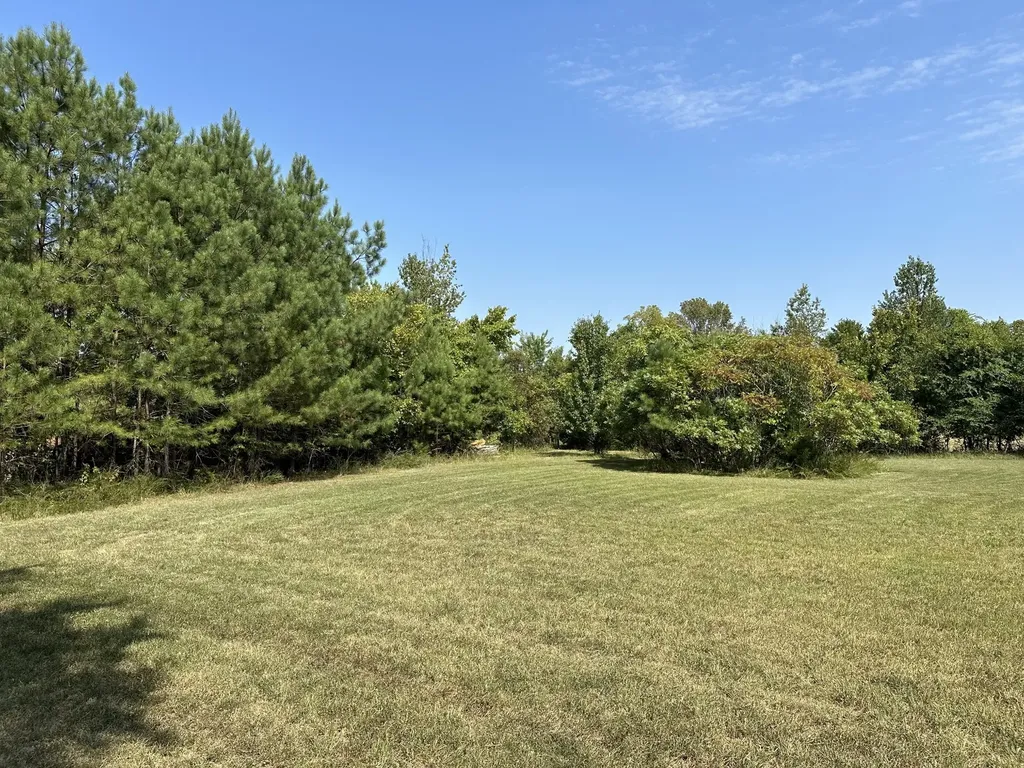 1238 Mires Road Mount Juliet TN 37122