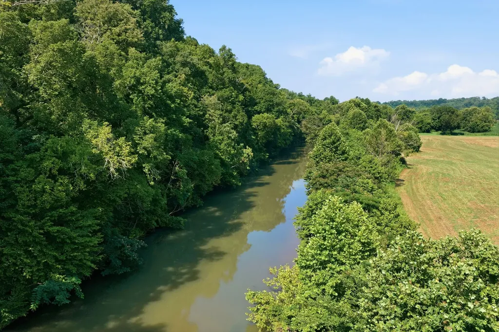 8167 Primm Springs Road Primm Springs TN 38476