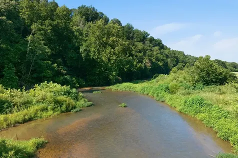 8167 Primm Springs Road Primm Springs TN 38476