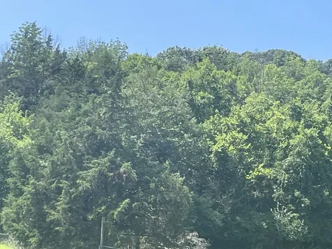0 Ingram Road Whites Creek TN 37189