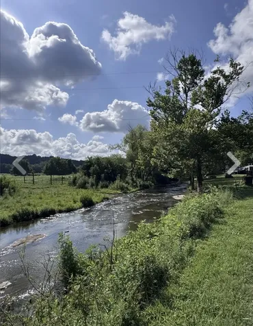 3310 Dog Branch Road Prospect TN 38477
