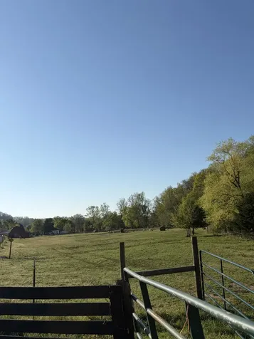 3310 Dog Branch Road Prospect TN 38477