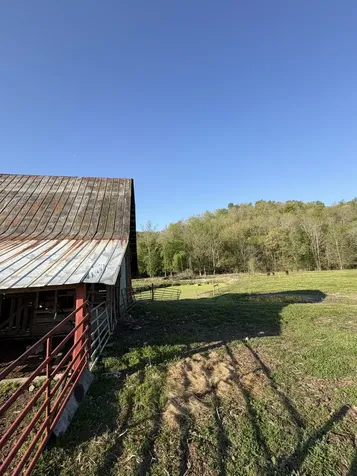 3310 Dog Branch Road Prospect TN 38477
