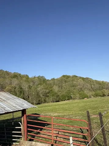 3310 Dog Branch Road Prospect TN 38477