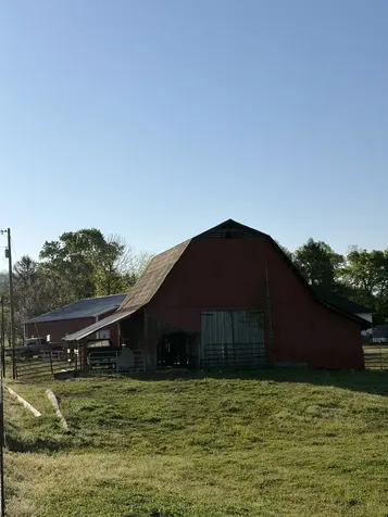 3310 Dog Branch Road Prospect TN 38477