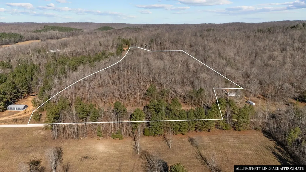 0 Roberts Creek Road Waverly TN 37185