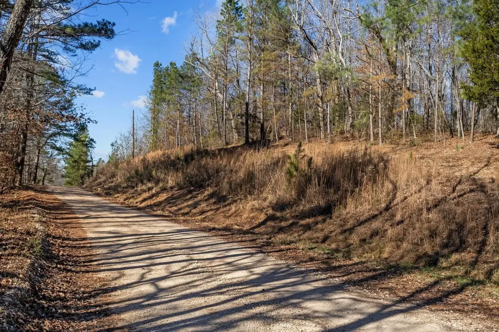0 Roberts Creek Road Waverly TN 37185