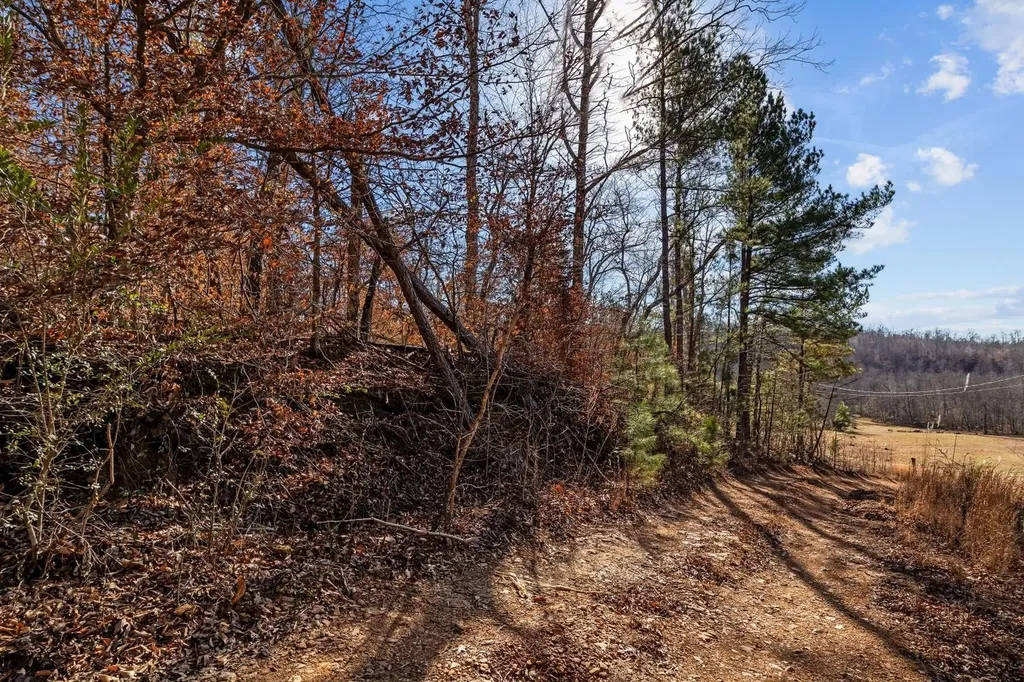 0 Roberts Creek Road Waverly TN 37185
