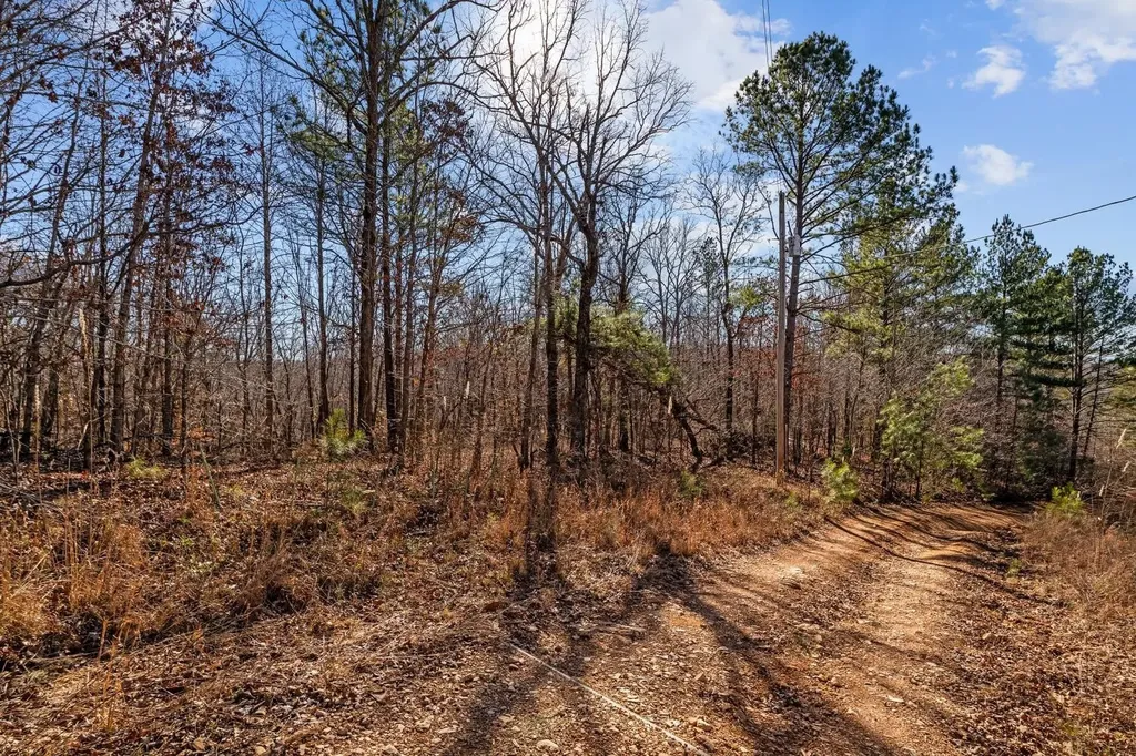 0 Roberts Creek Road Waverly TN 37185