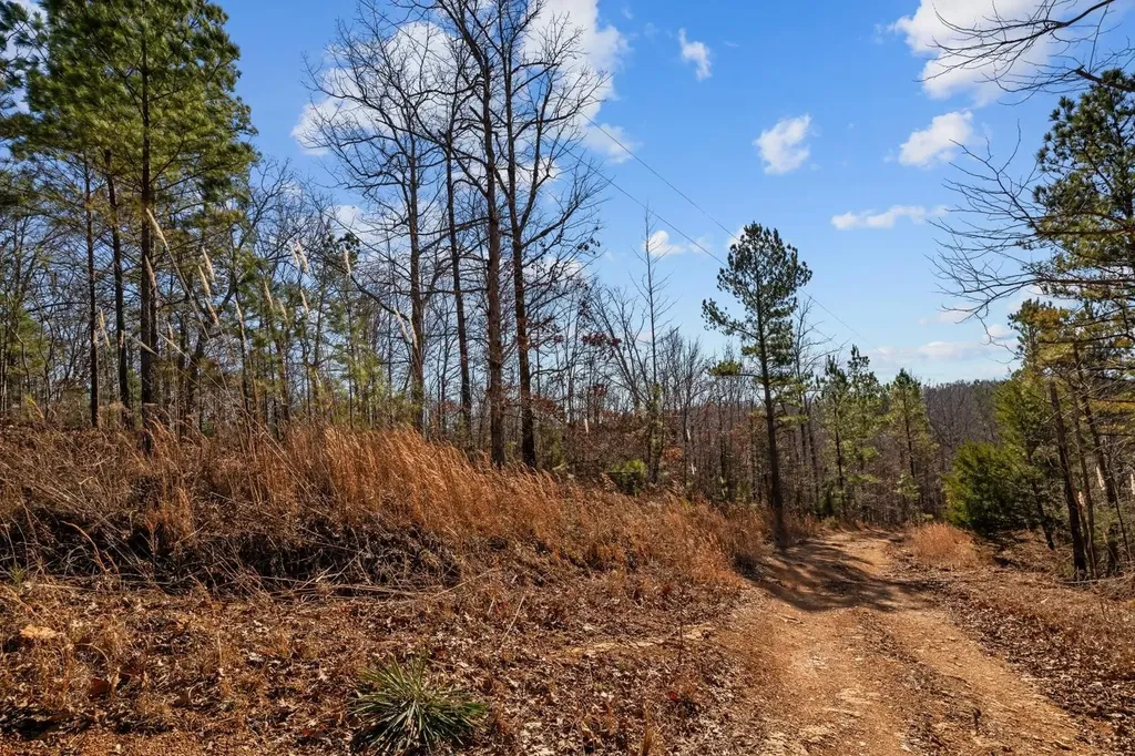 0 Roberts Creek Road Waverly TN 37185