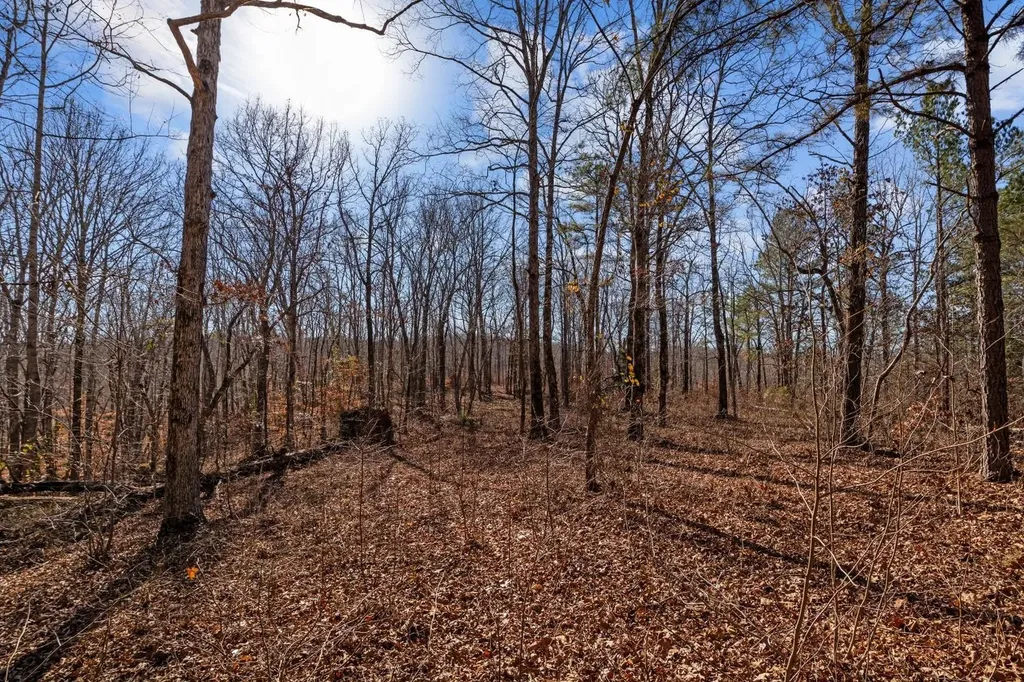 0 Roberts Creek Road Waverly TN 37185