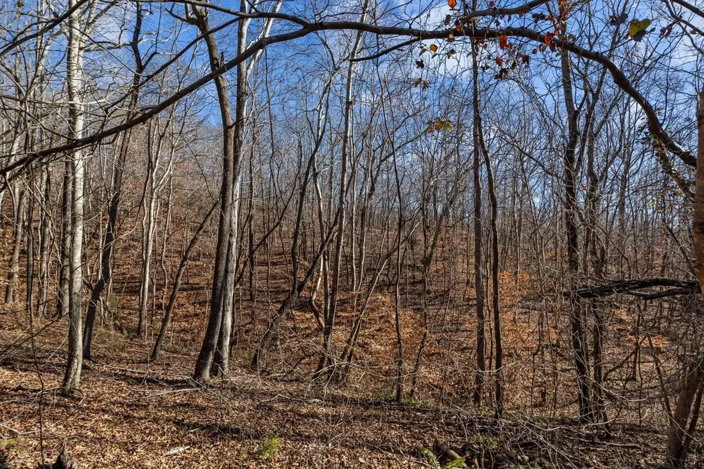 0 Roberts Creek Road Waverly TN 37185