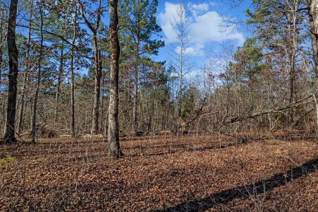 0 Roberts Creek Road Waverly TN 37185