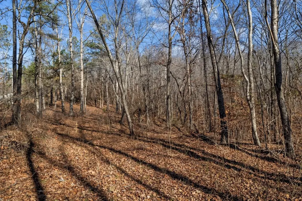 0 Roberts Creek Road Waverly TN 37185